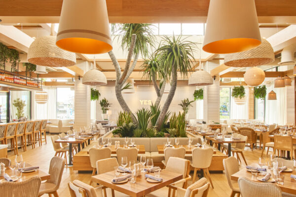 Christmas at the Summer House. Photo credits (C) Disney Enterprises, Inc. and Lettuce Entertain You Restaurants. All Rights Reserved