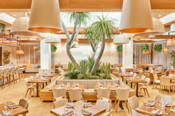 Photo Credit © Disney Enterprises, Inc. All Rights Reserved.