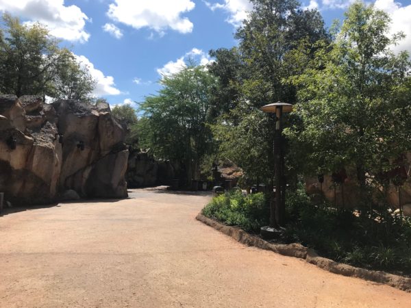 This is the path between Toy Story Land to Galaxy's Edge.
