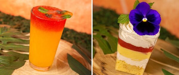 Photo Credit © Disney Enterprises, Inc. All Rights Reserved. 