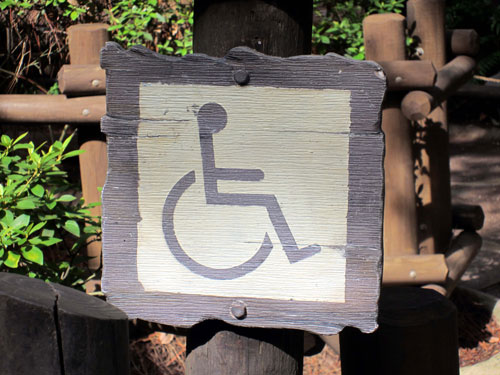 Disney can be a great place for wheelchairs and ECVs.