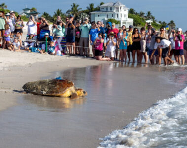 Photo Credit © Disney Enterprises, Inc. All Rights Reserved.