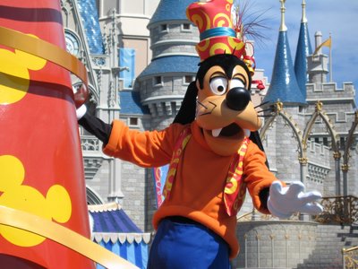 tour-disney-world Let's take a quick tour of what you can see and do at Disney World.