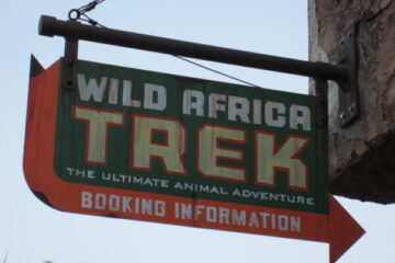 Tours return in 2022.