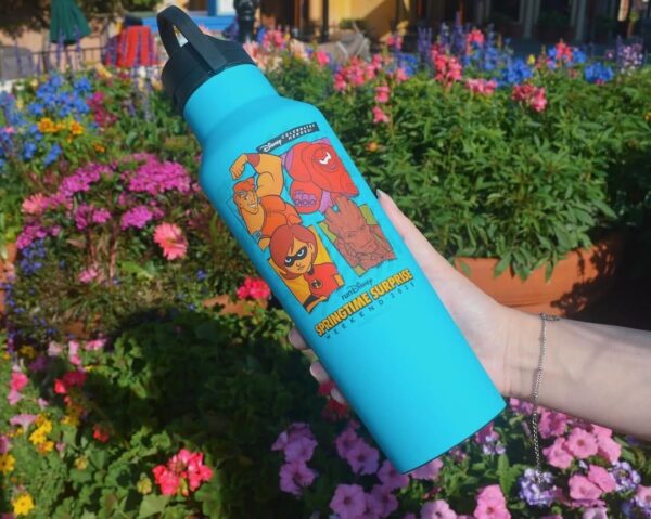 Photo Credit © Disney Enterprises, Inc. All Rights Reserved.