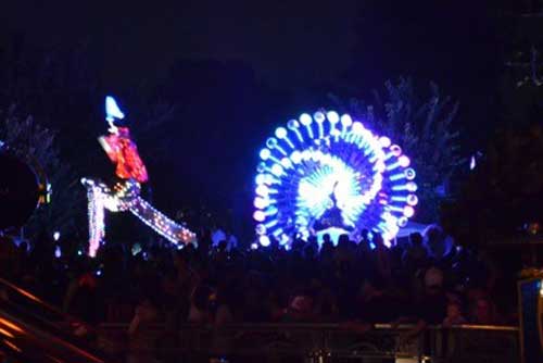 Be sure to check out the nighttime shows.