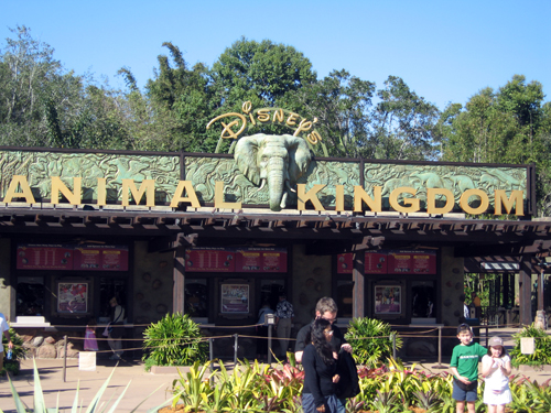 Top Six Reasons Not to Overlook Animal Kingdom